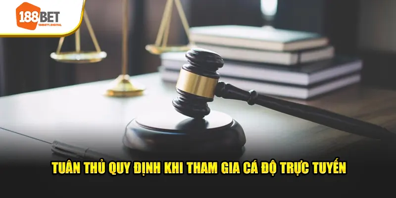 Tuân thủ quy định khi tham gia cá độ trực tuyến 